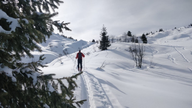 Ski touring