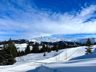 Nordic ski private lessons