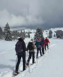 Snowshoe walk