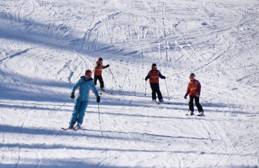 Private lessons in alpine skiing