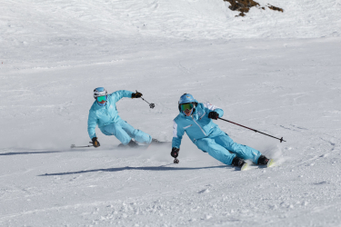 Alpine skiing private lesson ( 1 up to 6 people )